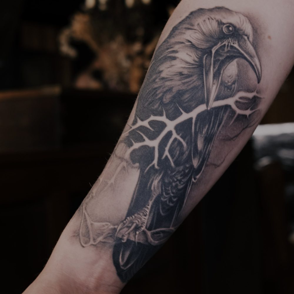 image of a persons forearm with black and grey crow tattoo