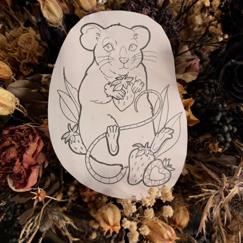 WhatsApp Image 2025-01-15 at 13.23.34