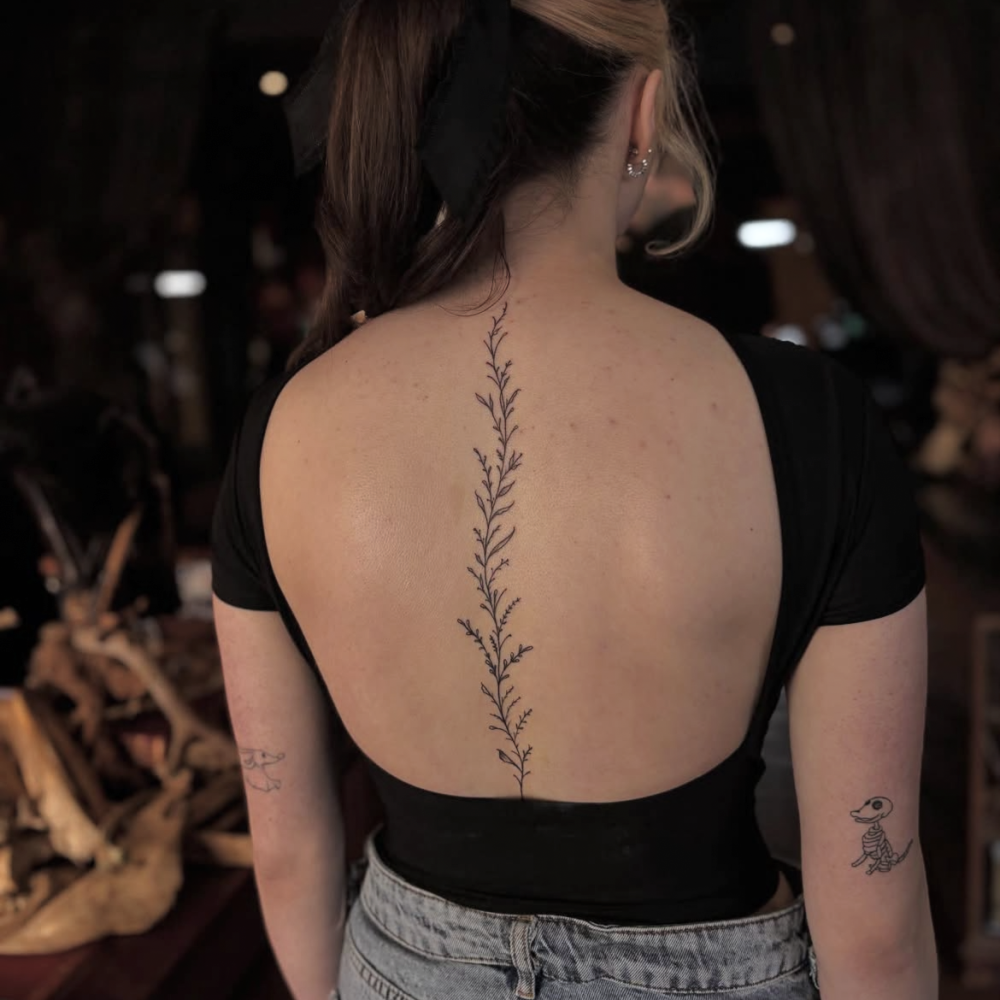 Photo 07-04-2025, 22 26 59 (1)