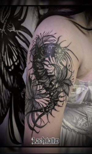 2B544C88-8F42-4925-A6DA-B4582269BAB2