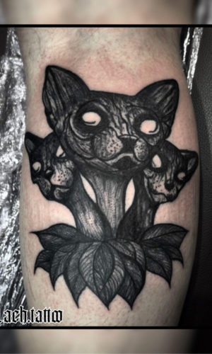 5D84FEAB-FEBE-4615-BF00-5E9EF565D0FB