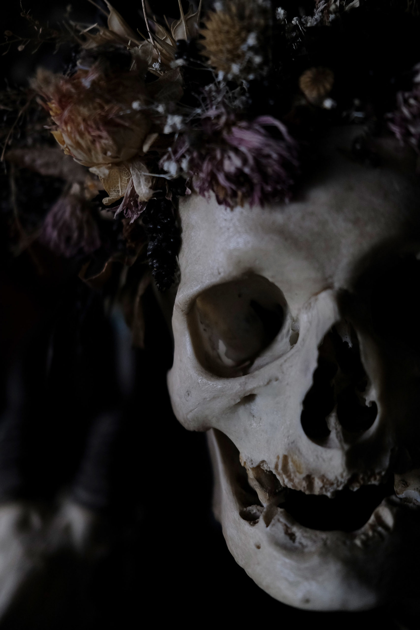 a close up image of a medical skull with dried flowers set in the top where the cap would be.