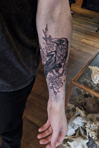 photo of an arm tattoo showing a crow with cherry blossoms and branches in a blackwork etching style