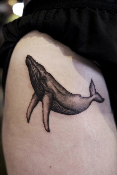 an image of a humpback whale tattoo on a hip