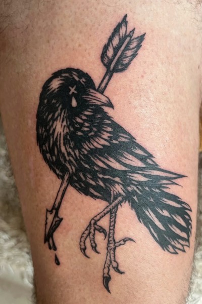 an image of a tattoo featuring a crow with arrow through its body and one leg curled up